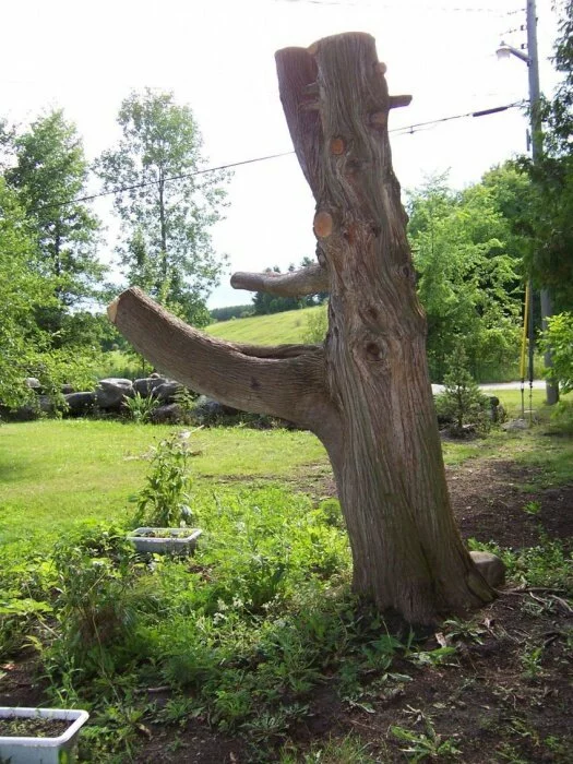 Что можно сделать из старого дерева (5 фото)