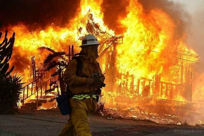 Калифорния в огне (10 фото)
